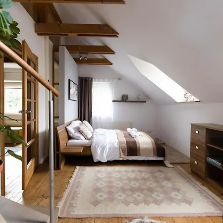 Villa Klimatyczny Dom W Krakowie Krakau
